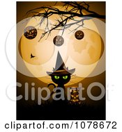 Poster, Art Print Of Halloween Witch Cat Under Baubles On A Bare Tree And A Full Moon