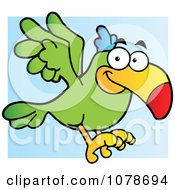Green Parrot Flying