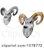 Poster, Art Print Of Grinning Aries Goats With Curling Horns