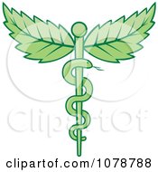 Clipart Green Medical Caduceus With Leaves Royalty Free Vector Illustration by Any Vector #COLLC1078788-0165