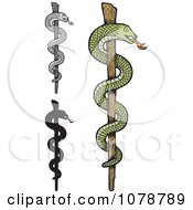 Stick Caduceuses With Snakes