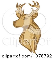 Poster, Art Print Of Brown Deer Stag Head