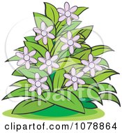 Poster, Art Print Of Bush With Purple Flowers