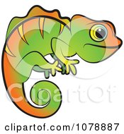 Poster, Art Print Of Green And Orange Chameleon Lizard