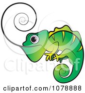 Poster, Art Print Of Green Chameleon Lizard With A Spiral Tongue