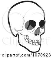 Clipart Black And White Human Skull Royalty Free Vector Illustration by Lal Perera