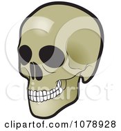 Clipart Human Skull Royalty Free Vector Illustration by Lal Perera