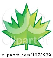 Poster, Art Print Of Green Maple Leaf Logo