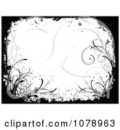 Poster, Art Print Of Grungy Black And White Floral Background With Curling Foliage