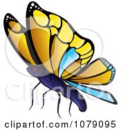 Poster, Art Print Of Yellow And Blue Butterfly