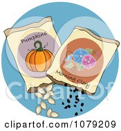 Clipart Packets Of Pumpkin And Morning Glory Seeds Royalty Free Vector Illustration