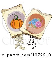 Poster, Art Print Of Packets Of Morning Glory And Pumpkin Seeds