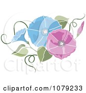 Poster, Art Print Of Pink And Blue Morning Glory Flowers
