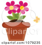Yellow Butterfly And Pink Potted Daisies