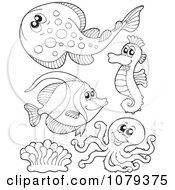 Poster, Art Print Of Outlined Sea Life 3