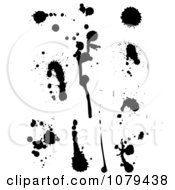 Poster, Art Print Of Set Of Black Ink Splatters