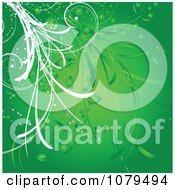Poster, Art Print Of Green Floral Vine Background