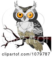 Poster, Art Print Of Orange Eyed Owl On A Branch