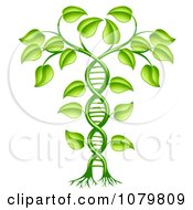 Clipart 3d Green DNA Crop Gene Modification Helix Plant Royalty Free Vector Illustration