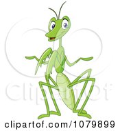 Friendly Green Praying Mantis