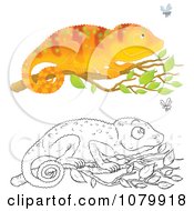 Poster, Art Print Of Colored And Outlined Chameleons With Flies