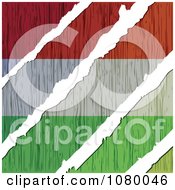Poster, Art Print Of Rips Through A Wooden Hungary Flag
