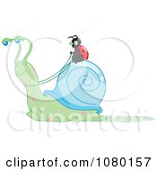 Poster, Art Print Of Ladybug Riding A Snail And Holding The Reins