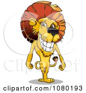 Standing Male Lion With A Mohawk Mane