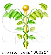 Clipart 3d Natural Vine And Gold Staff Caduceus Royalty Free Vector Illustration by AtStockIllustration #COLLC1080221-0021