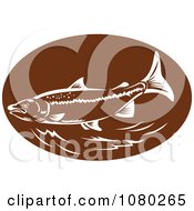 Poster, Art Print Of Retro Brown And White Trout