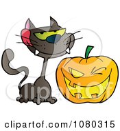 Poster, Art Print Of Grinning Black Cat And Winking Halloween Jackolantern Pumpkin