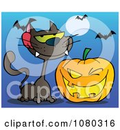 Poster, Art Print Of Black Cat And Winking Halloween Jackolantern Pumpkin With Bats On Blue