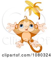 Poster, Art Print Of Cute Monkey Leaping For A Banana