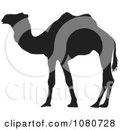 Clipart Silhouetted Camel Royalty Free Vector Illustration by Prawny