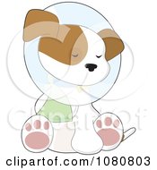 Poster, Art Print Of Cute Injured Puppy Sitting With A Paw In A Sling And A Cone Around His Neck