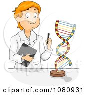 Clipart Male Student Studying A DNA Model Royalty Free Vector Illustration
