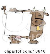 Poster, Art Print Of Brown Dairy Cow With A Blank White Sign On It