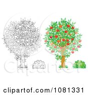 Poster, Art Print Of Set Of Outlind And Colored Apple Trees And Bushes
