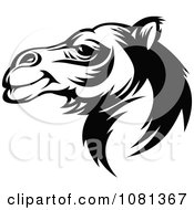 Black And White Camel Face Profile
