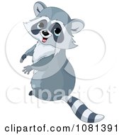 Poster, Art Print Of Cute Raccoon Sitting Upright And Looking Back