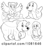 Clipart Outlined Owl Seal Penguin And Bear Royalty Free Vector Illustration