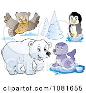 Clipart Flying Owl Penguin Polar Bear And Seal Royalty Free Vector Illustration