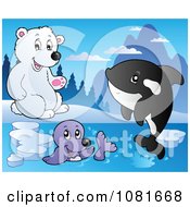 Poster, Art Print Of Polar Bear Watching A Seal And Orca