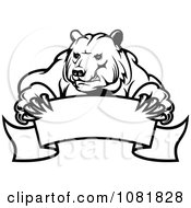 Poster, Art Print Of Black And White Bear Holding A Curved Banner