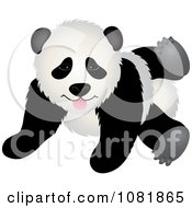 Poster, Art Print Of Cute Playful Panda Bear