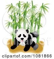 Poster, Art Print Of Cute Playful Panda With Bamboo