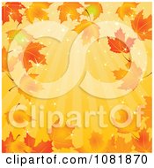 Autumn Background Of Sunshine Rays And Maple Leaves