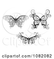 Three Butterflies In Ornate Black And White