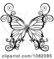 Black And White Swirly Butterfly