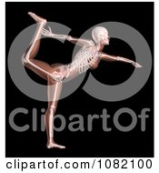 Poster, Art Print Of 3d Anatomy Female Yoga Woman